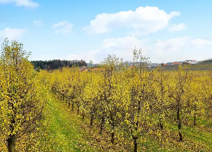 דירה Carpe Diem פרידריכסהאפן